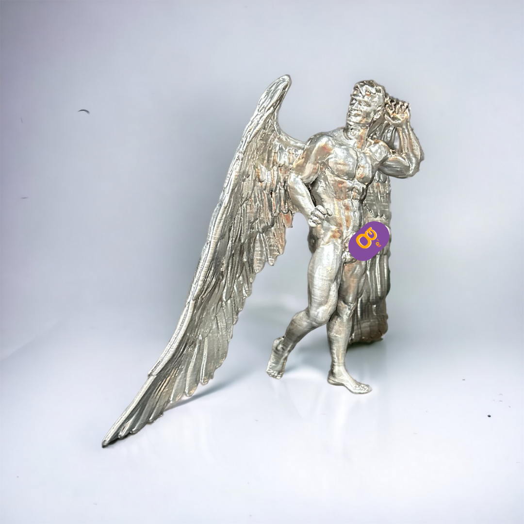 Silver Wings by David Alonso