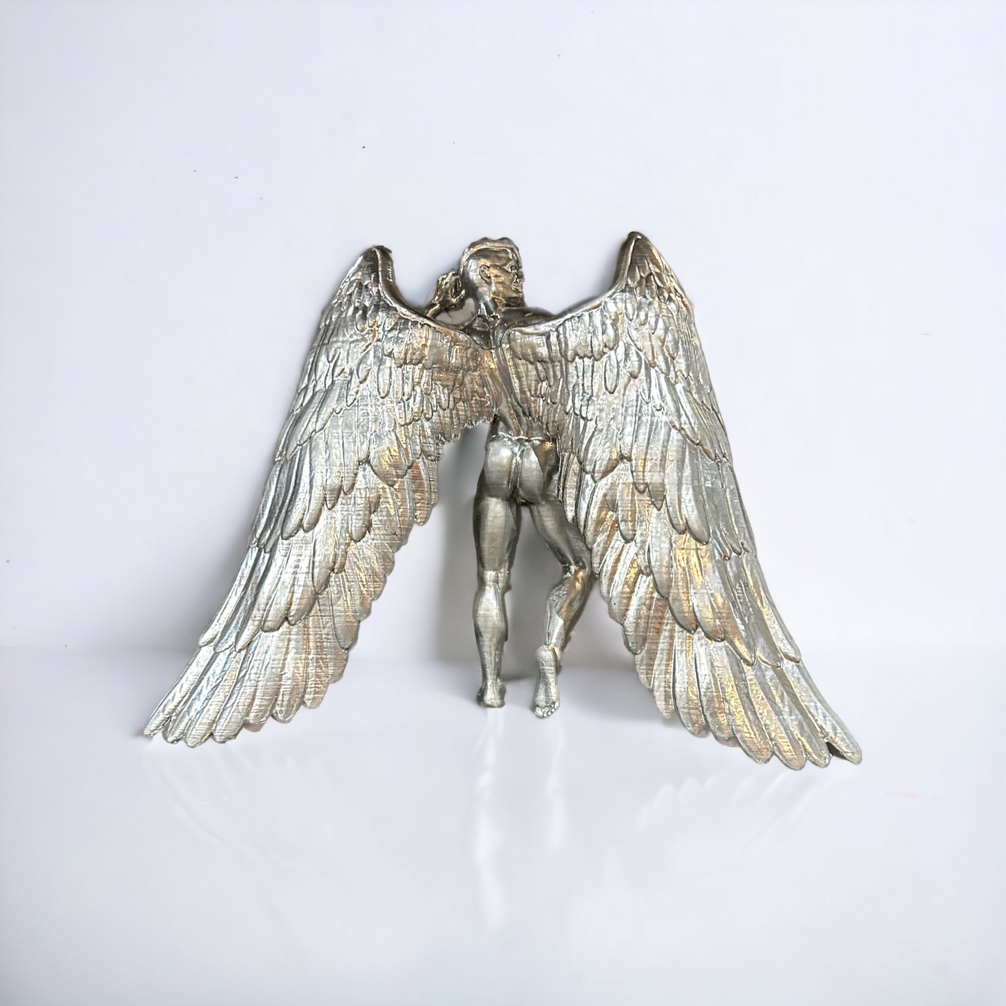 Silver Wings by David Alonso
