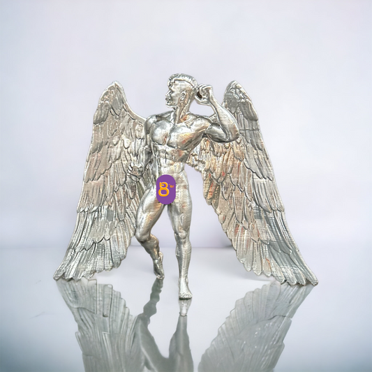 Silver Wings by David Alonso